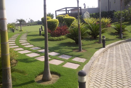 Vastu for farmhouse graden